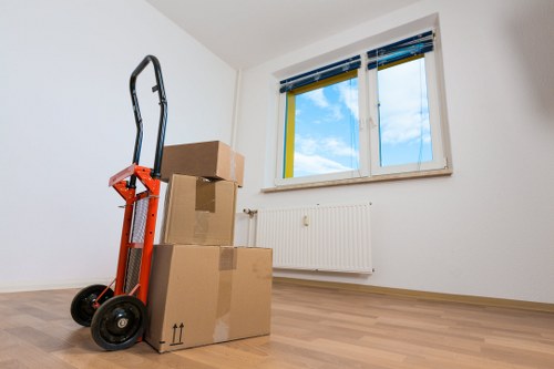Boxes and packing materials prepared for a local move